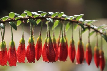 中山南头2私人快速借钱网，轻松解决资金难题