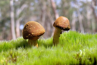 中山南头2私人老板放款：轻松融资的秘密通道